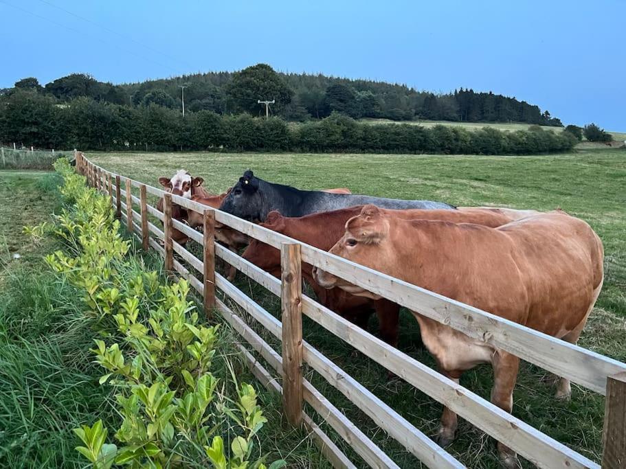 Foxhall Farm Thirsk Exterior photo